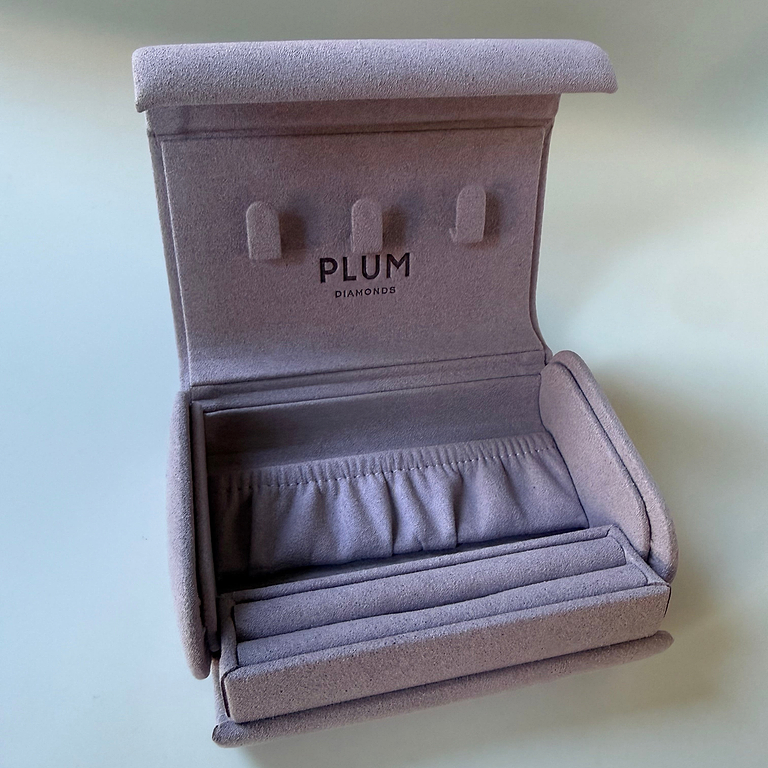 Plum Travel Case