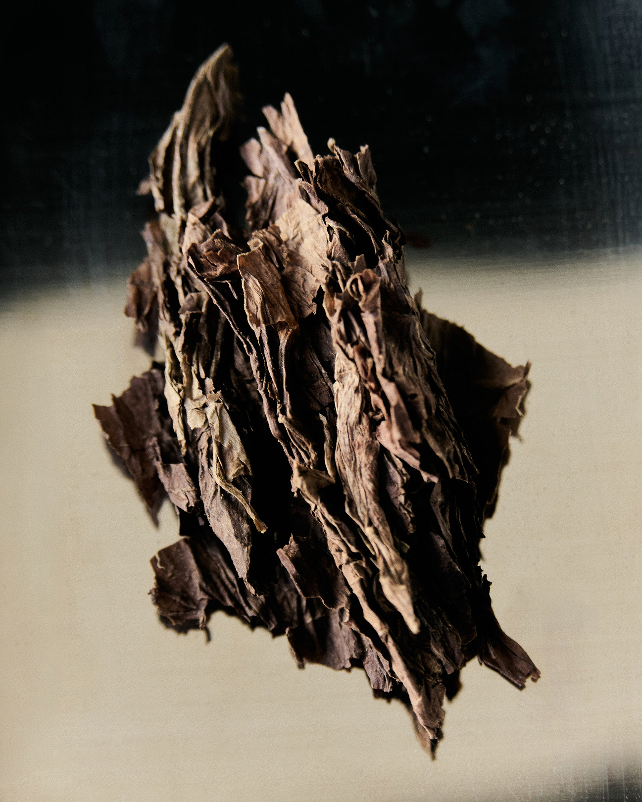 Base notes: Suede, Tobacco