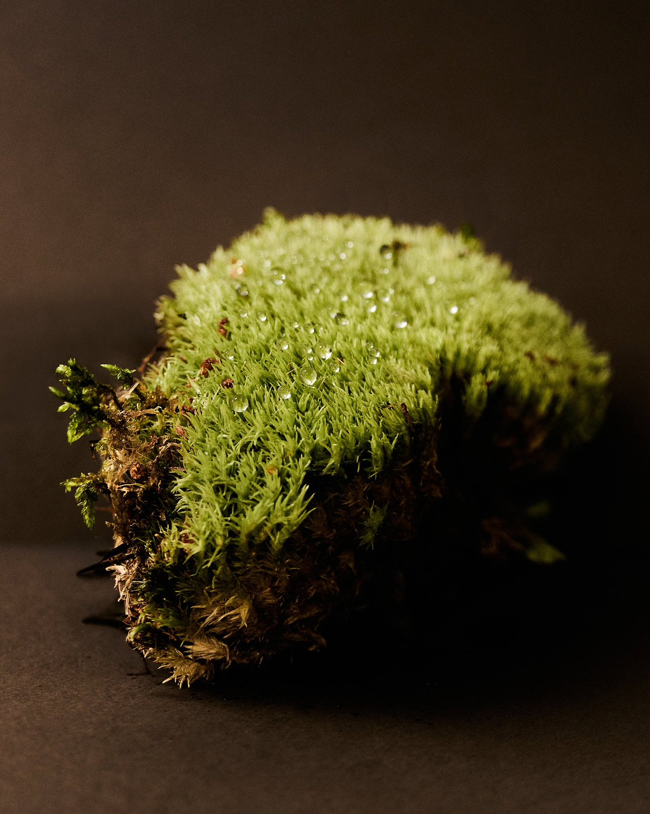 Middle note: Moss