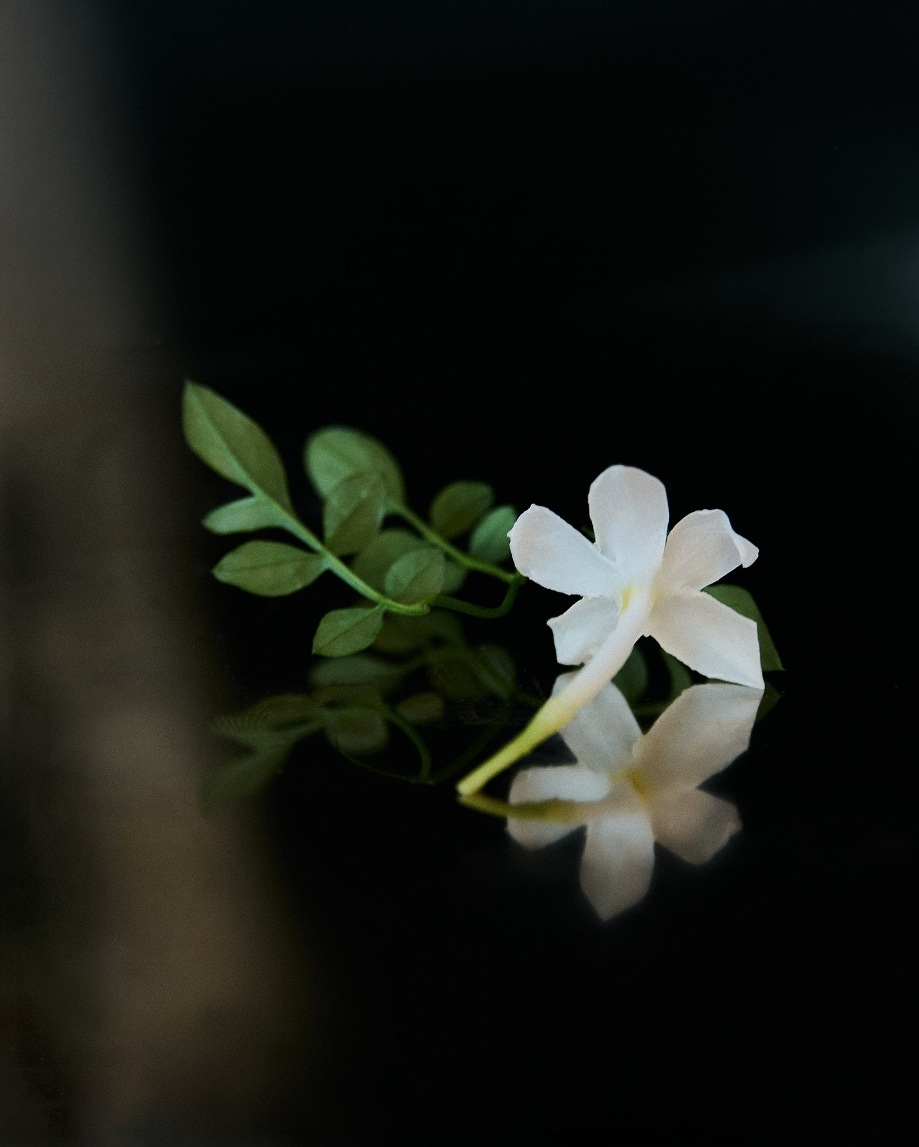 Top note: Jasmine