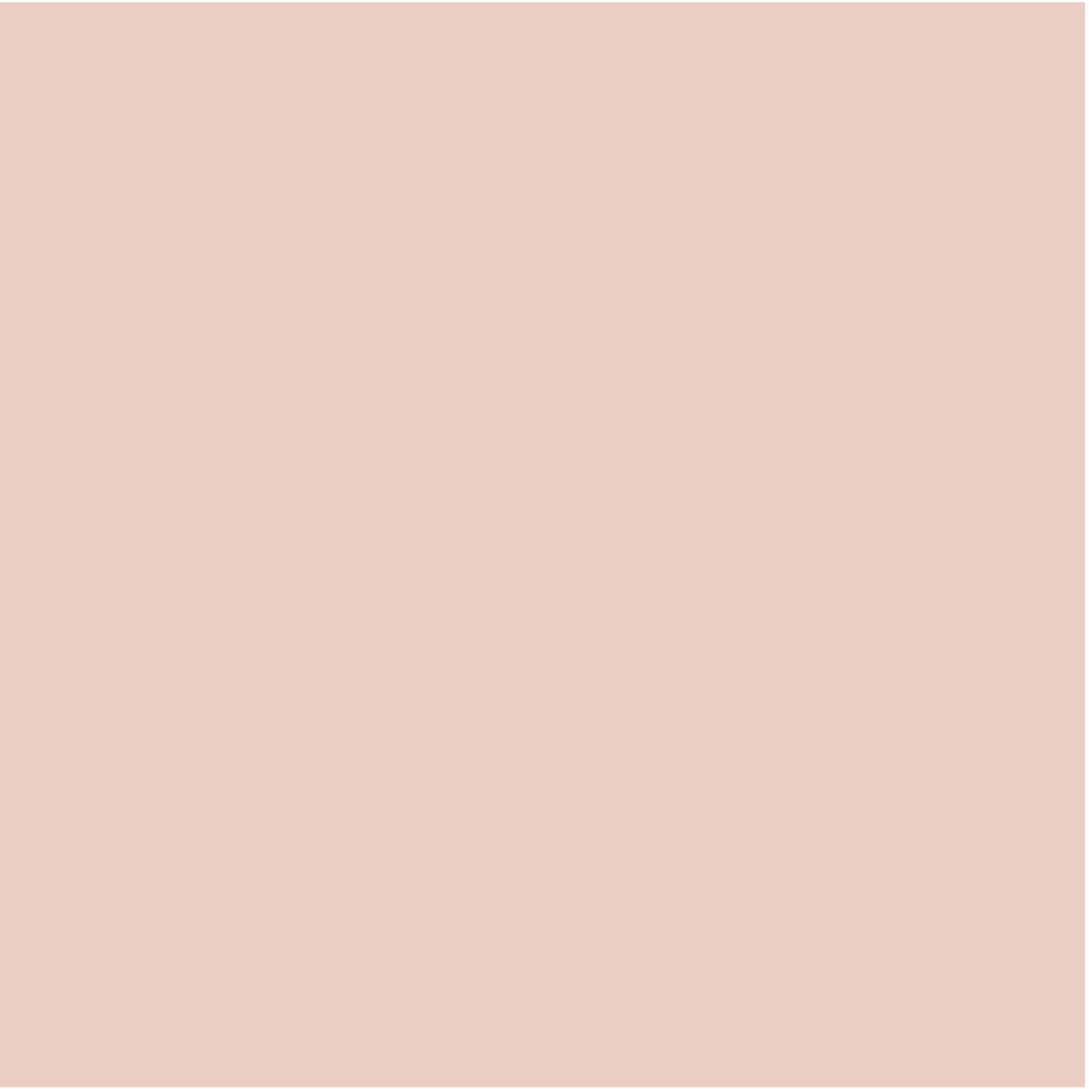 swatch_Bruised Peach