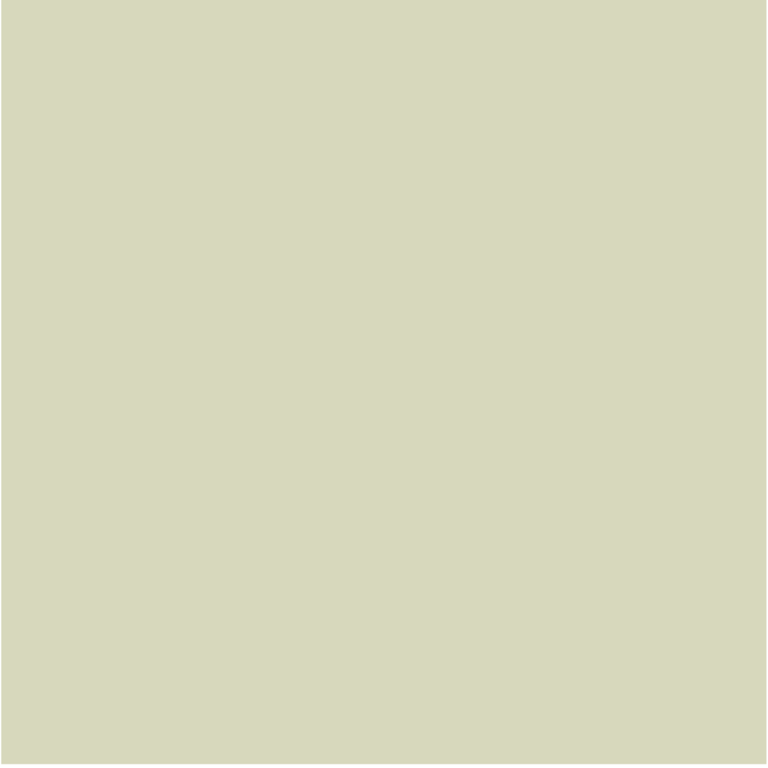 swatch_Celery