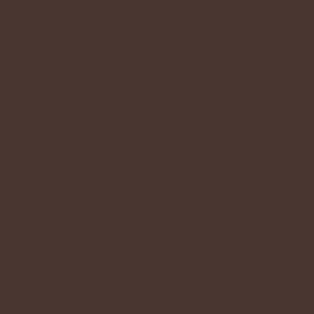 swatch_Chocolate
