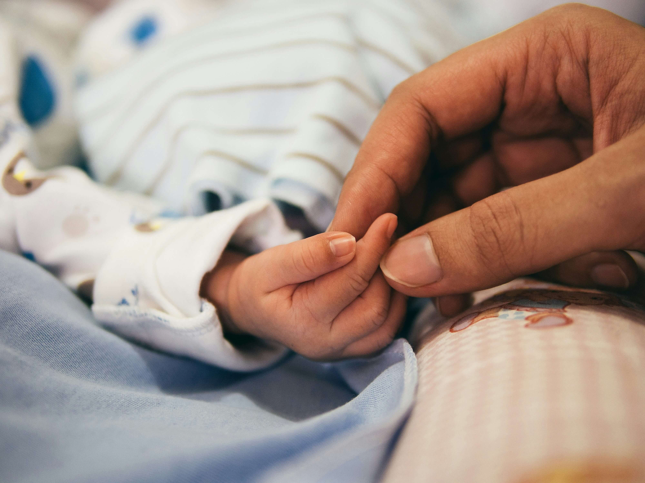 Adult holding a new baby's hand.
