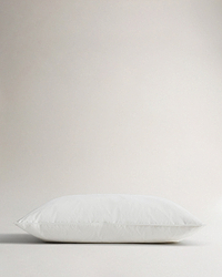 The Recycled Down Pillow