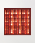 Silk Check Printed Scarf - Red
