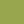 swatch_Thyme
