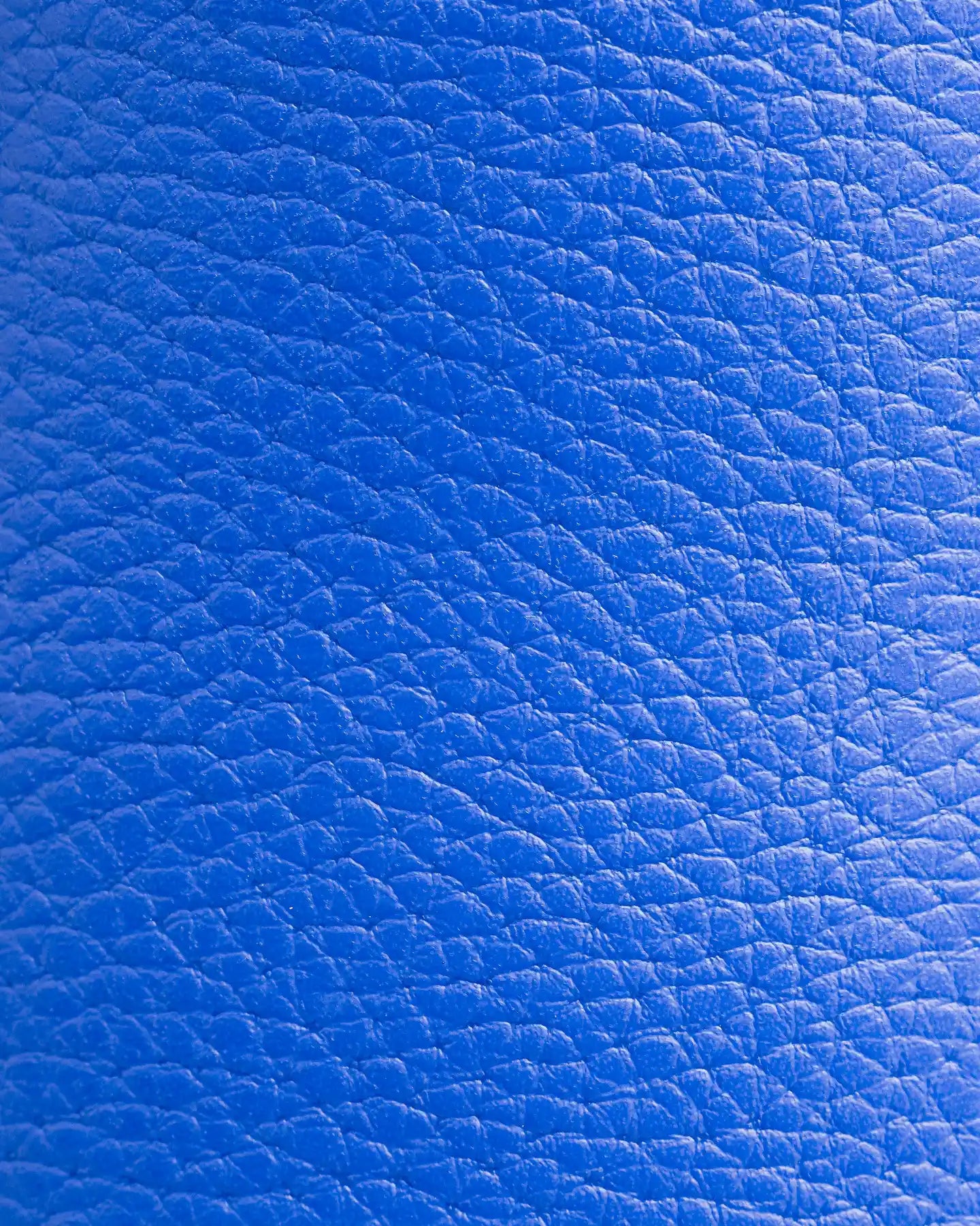 The Clog - Bluing