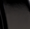 Shiny Black