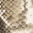 Snake Print Leather