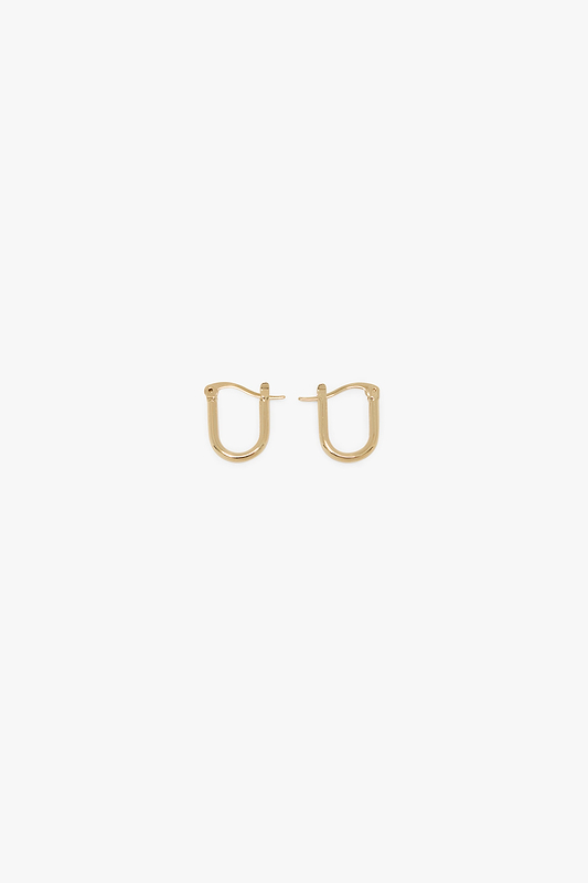 Small Hoop Earrings