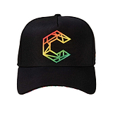 Hydrogen Curve Brim Snap Back Hat (wholesale)