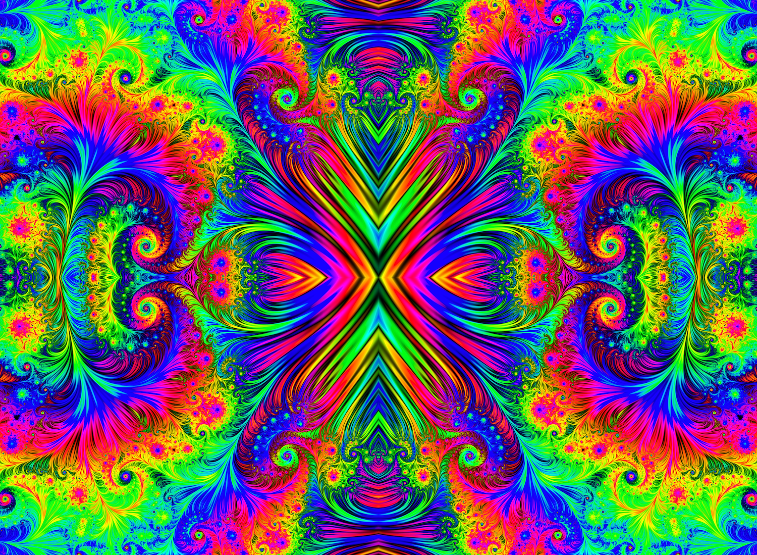 Fractal Wonderland