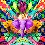 Neon Animals
