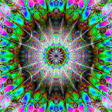 Trip Vision