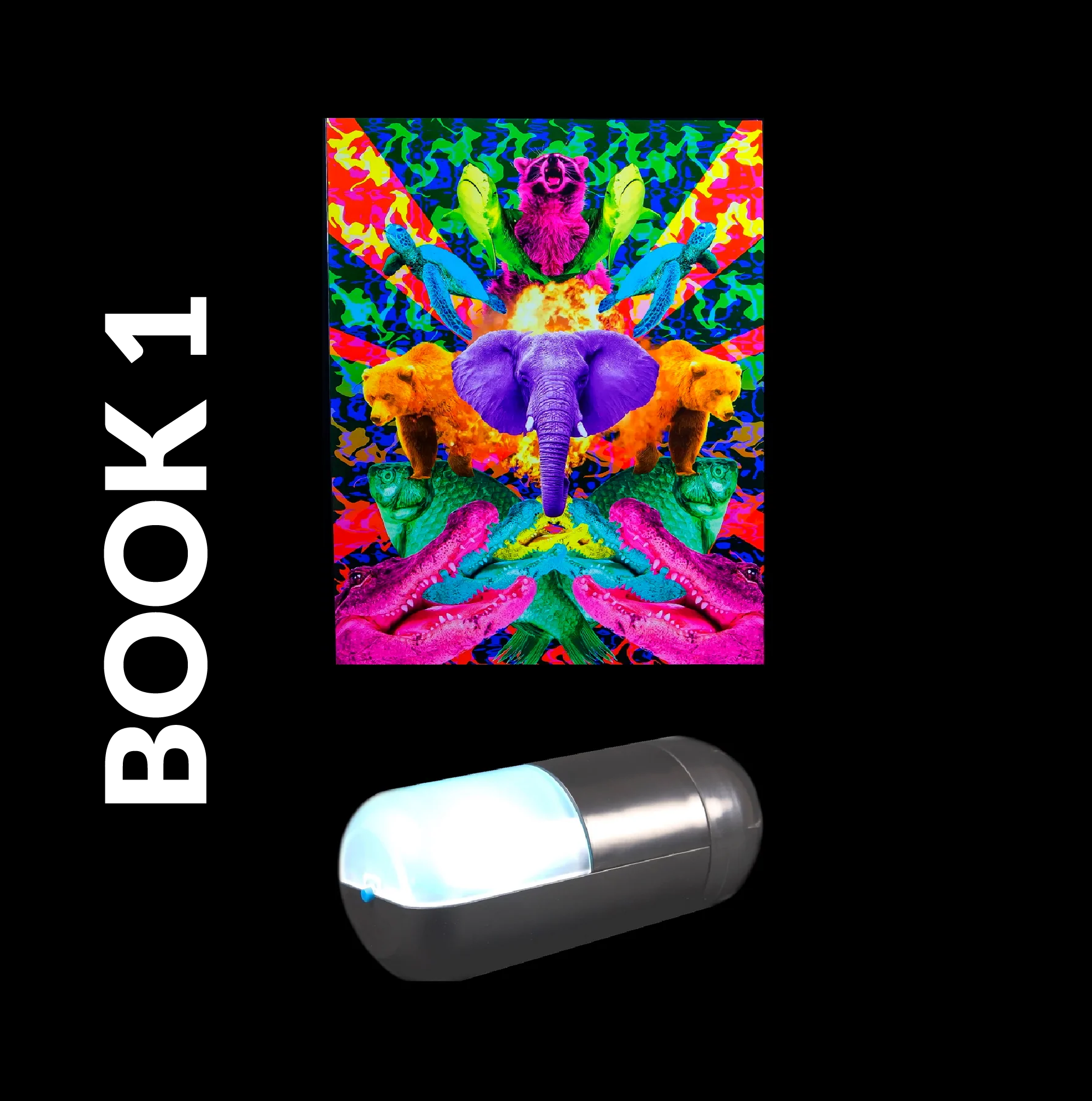 Colorizer + 1 Visuals Book