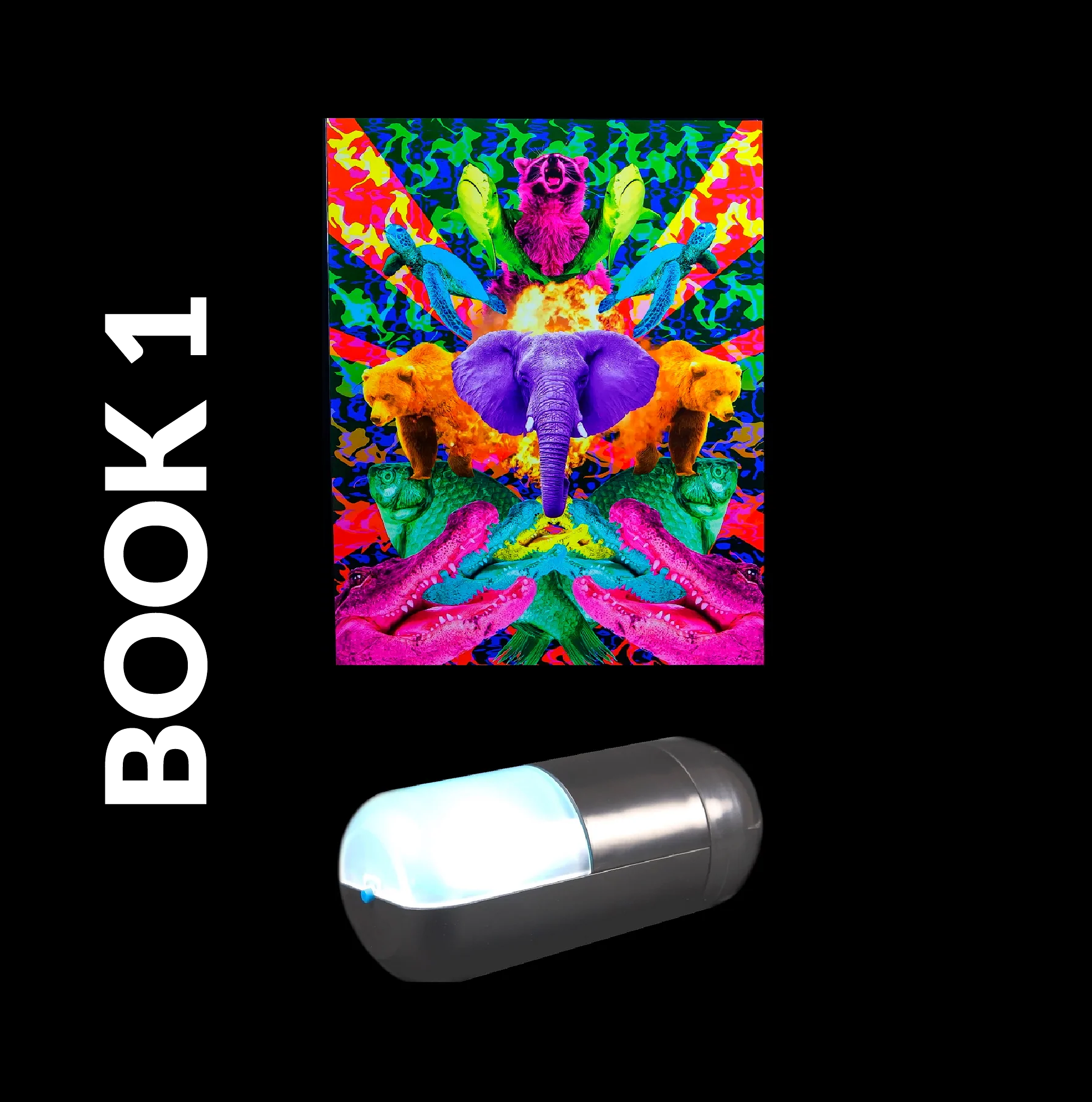 Colorizer + 1 Visuals Book