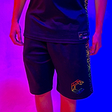 Colorimetry Shorts (wholesale)