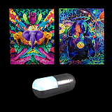 Colorizer + 2 Visual Books