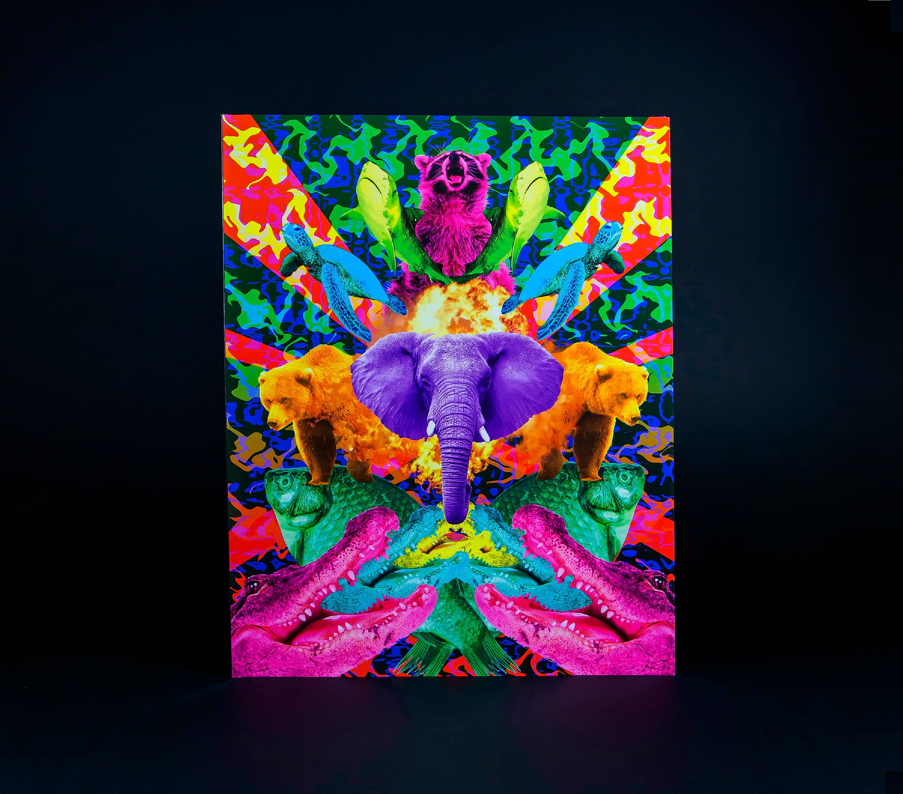 Colorizer + 4 Visual Books