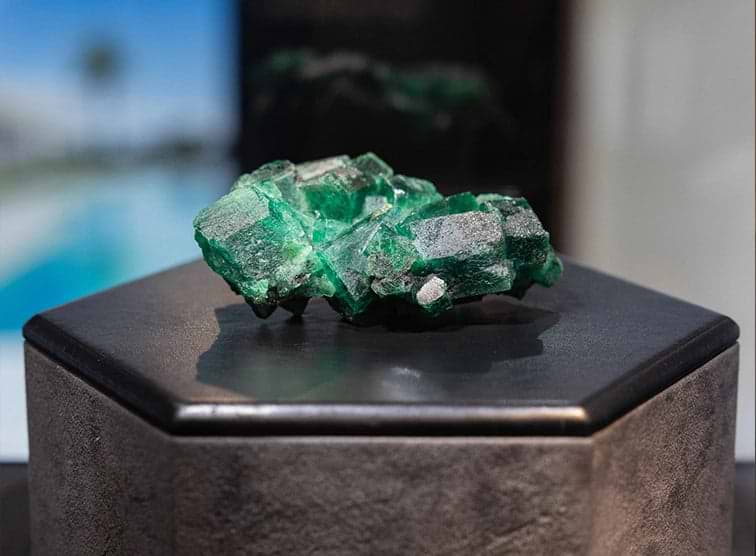Savills Summer Showcase in partnership with Fabergé and Gemfields