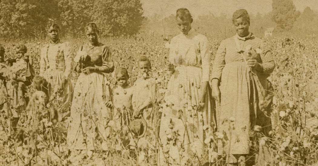 African American children in field picking cotton