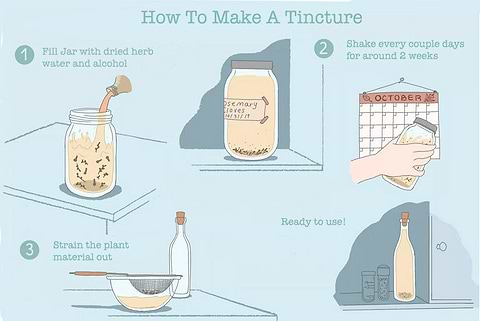 How to make an herbal tincture