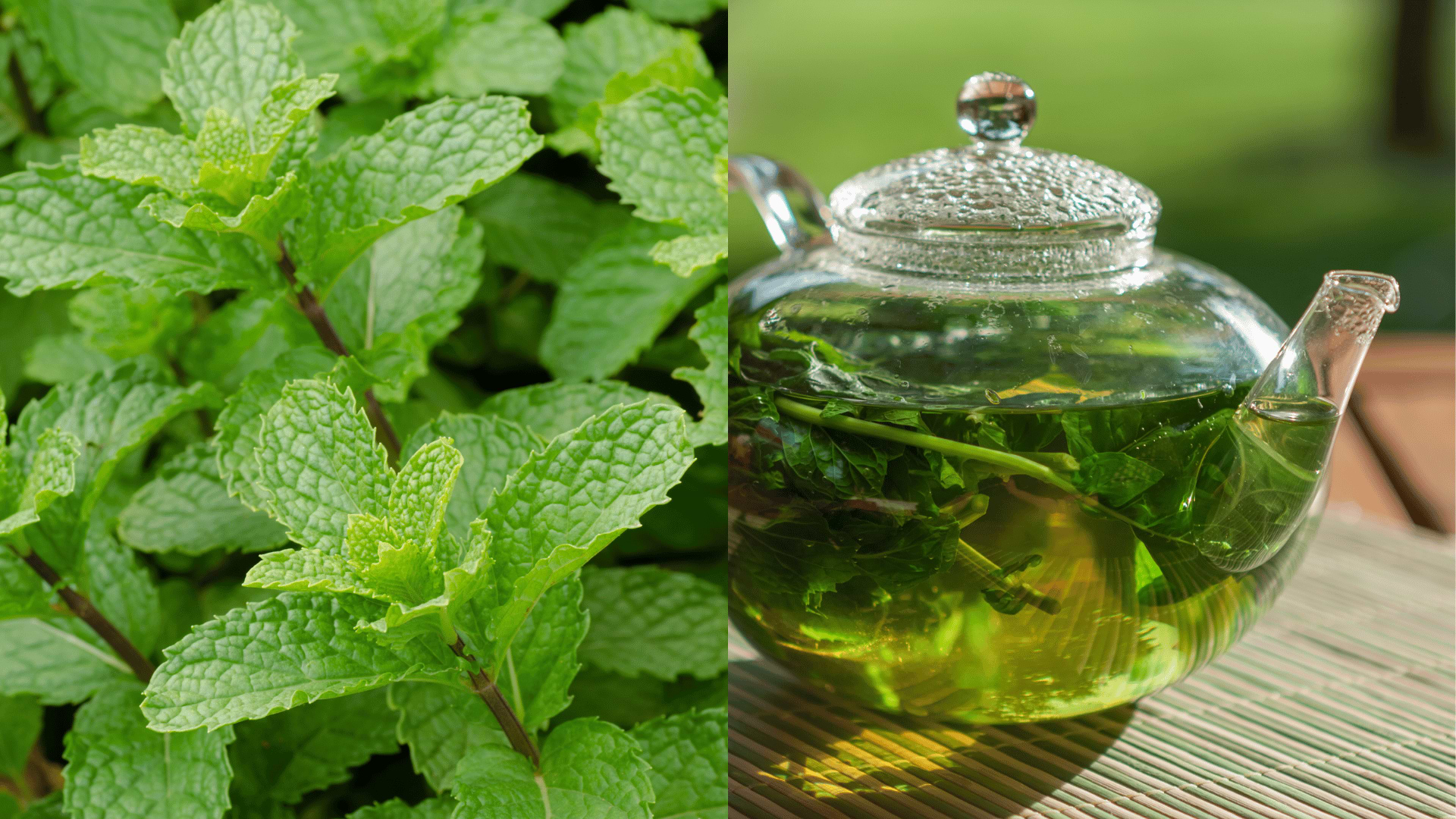 Peppermint Tea