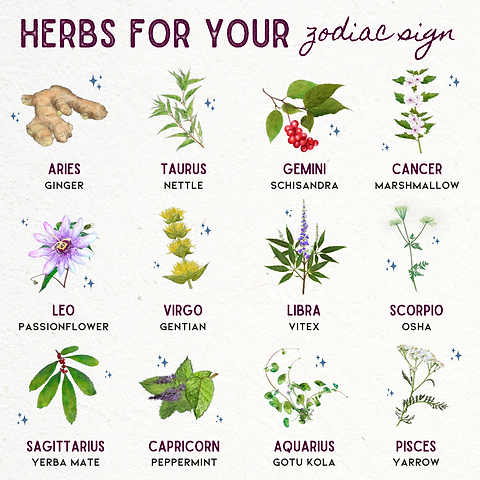 Zodiac Botanicals: Discover Your Herbal Soulmate
