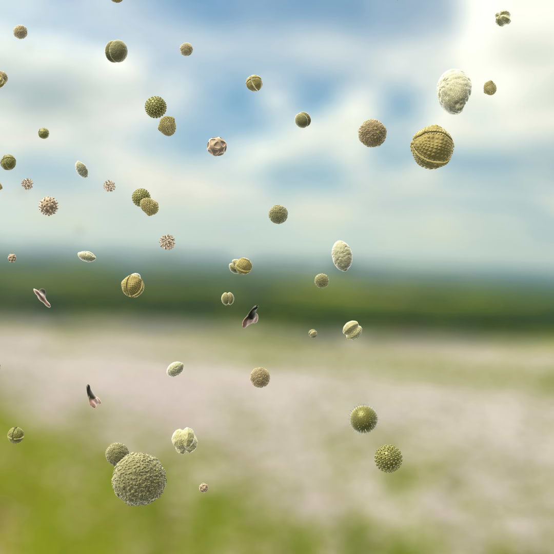 Image of pollen floating through the air