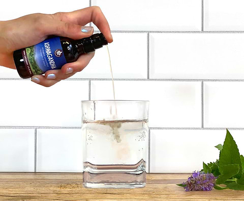 Plant-based herbal tinctures for women's stress support