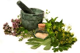 herbs Herbs