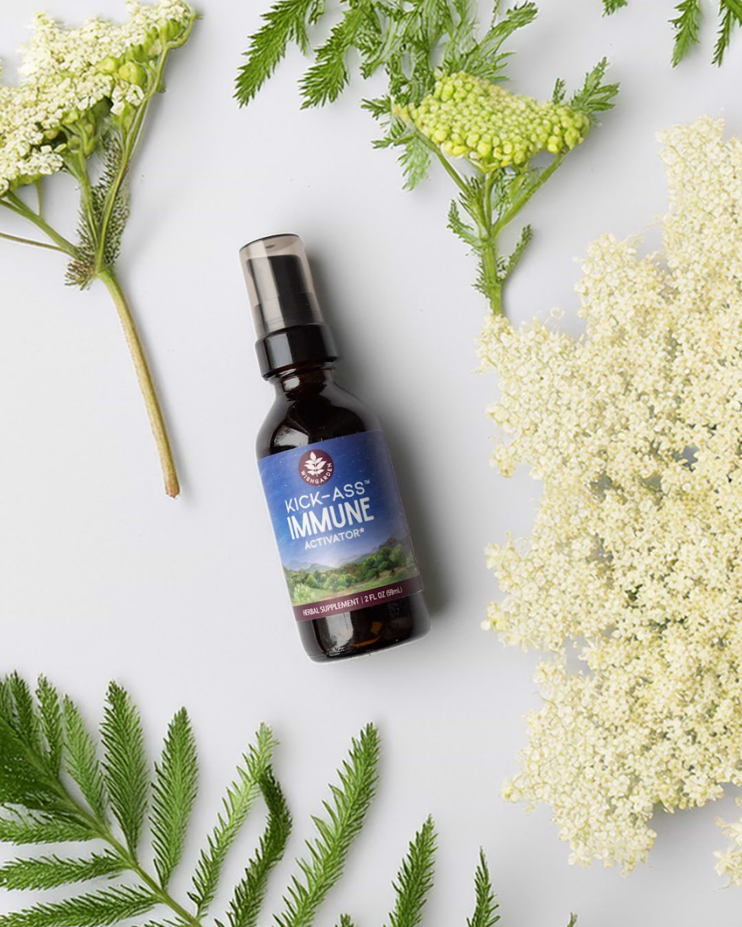 Image of Kick-Ass Immune surrounded by botanicals