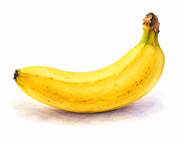 Watercolor illustration of a ripe yellow banana