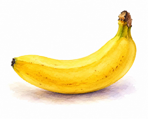 Watercolor illustration of a ripe yellow banana