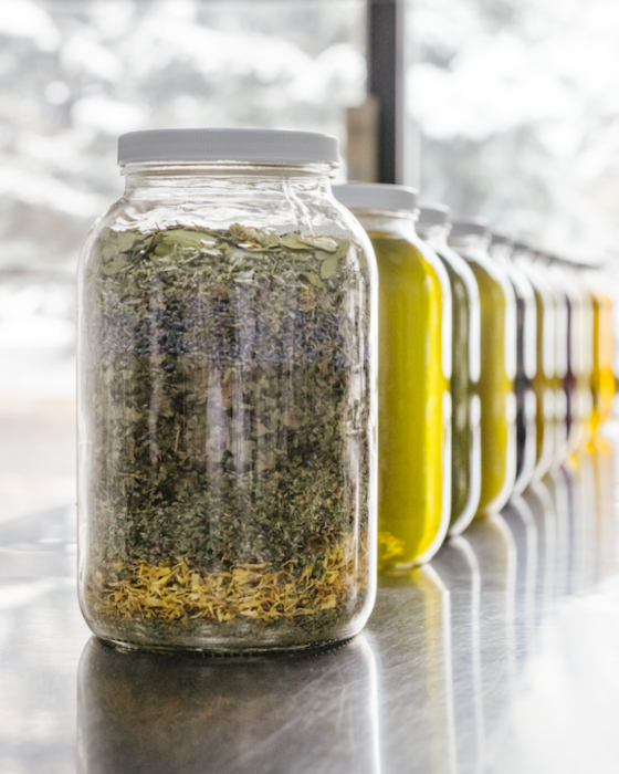 Glass maceration jars filled with herbs and tinctures lined up at the WishGarden facility