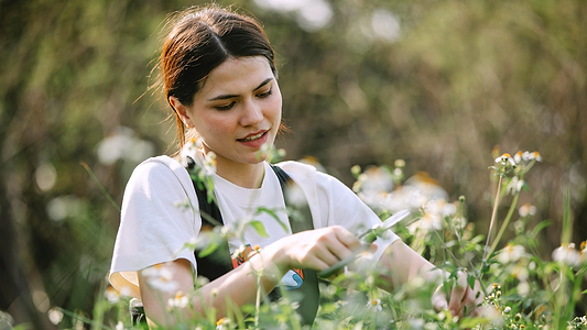 Beat the Burnout: Adrenal Fatigue & Adaptogenic Herb Support