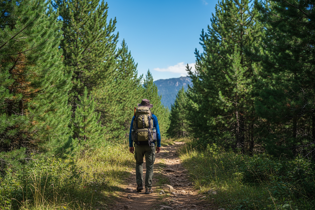 An Herbalist's Guide to Healthy Lungs after Wildfire Season