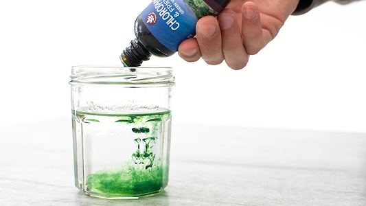 Chlorophyll Benefits: The Natural Green Wellness Wonder