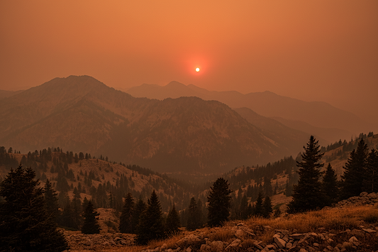 How to Strengthen Your Lungs After Wildfire Season