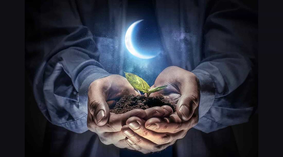 Magical Moon Phase Gardening