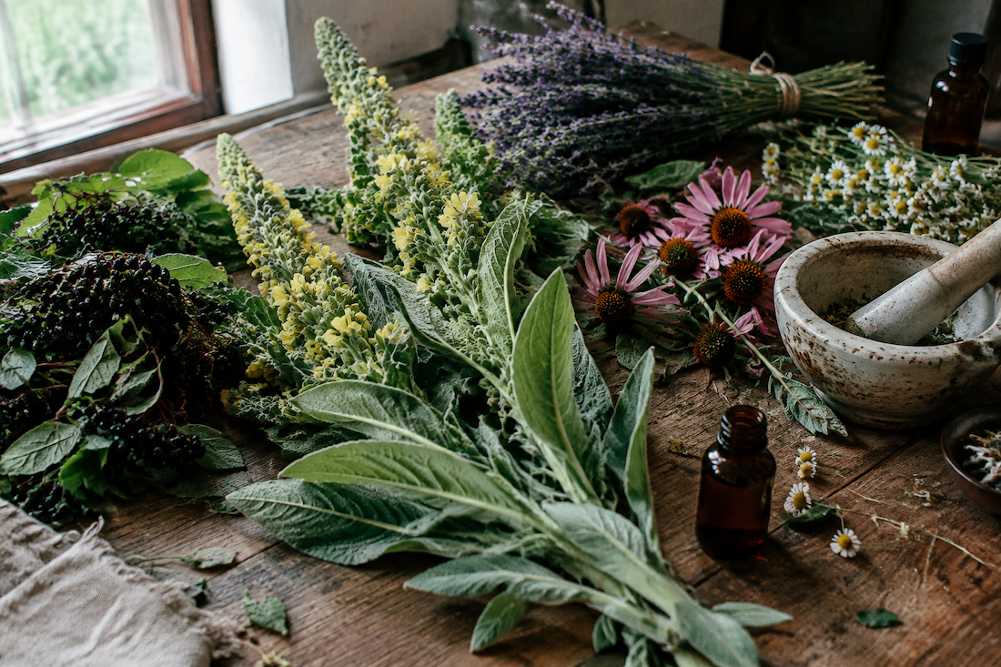 Expectorant Herbs and Why Mullein Isn't Enough