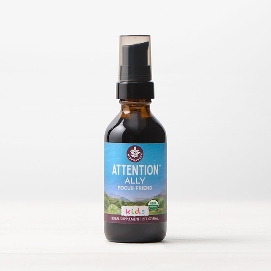 Attention Ally, Focus Friend for Kids