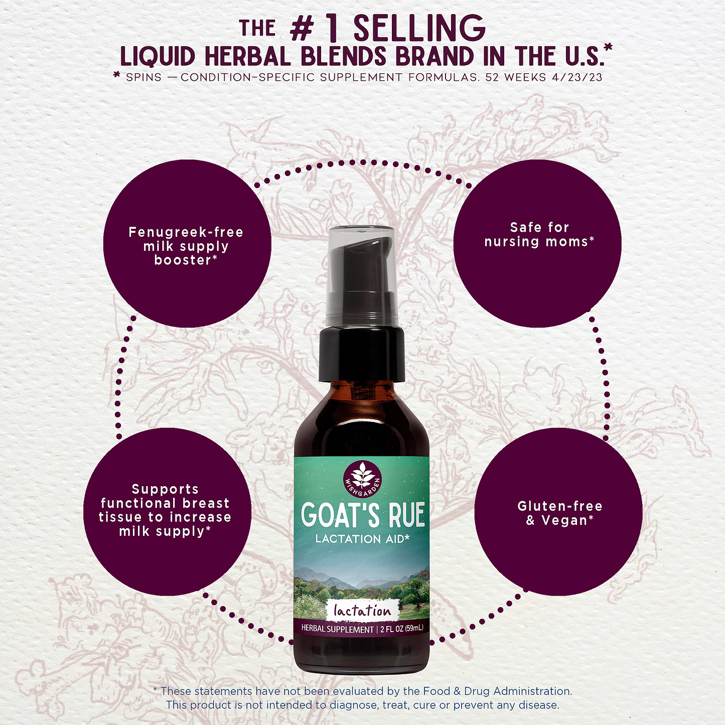 Benefits of Goat's Rue Lactation Aid