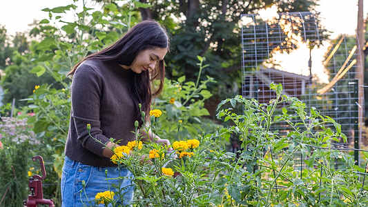 An Herbalist's Guide to the Luteal Phase