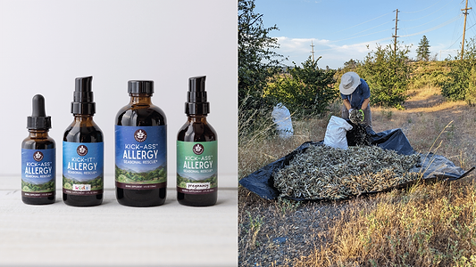 Why Your Gut Health Affects Your Allergies