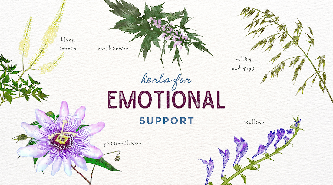 Embrace Emotional Wellness: 5 Herbs to Keep You Grounded