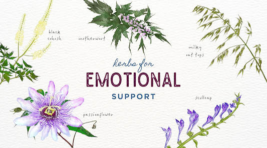 Embrace Emotional Wellness: 5 Herbs to Keep You Grounded
