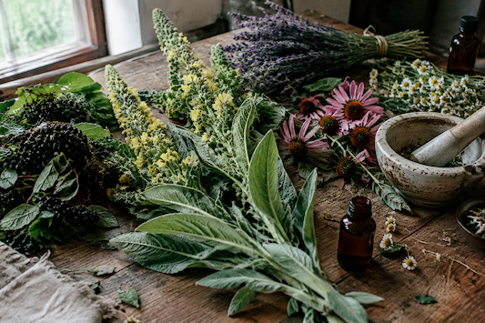 Expectorant Herbs and Why Mullein Isn't Enough