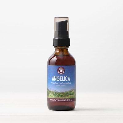 Angelica Root Tincture